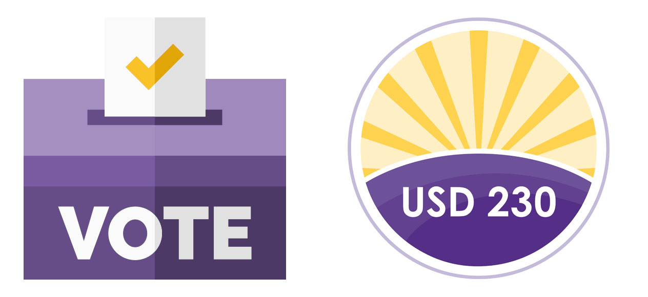 "Vote" Box Graphic and USD Logo